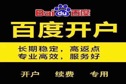 百度竞价托管：实战案例展示